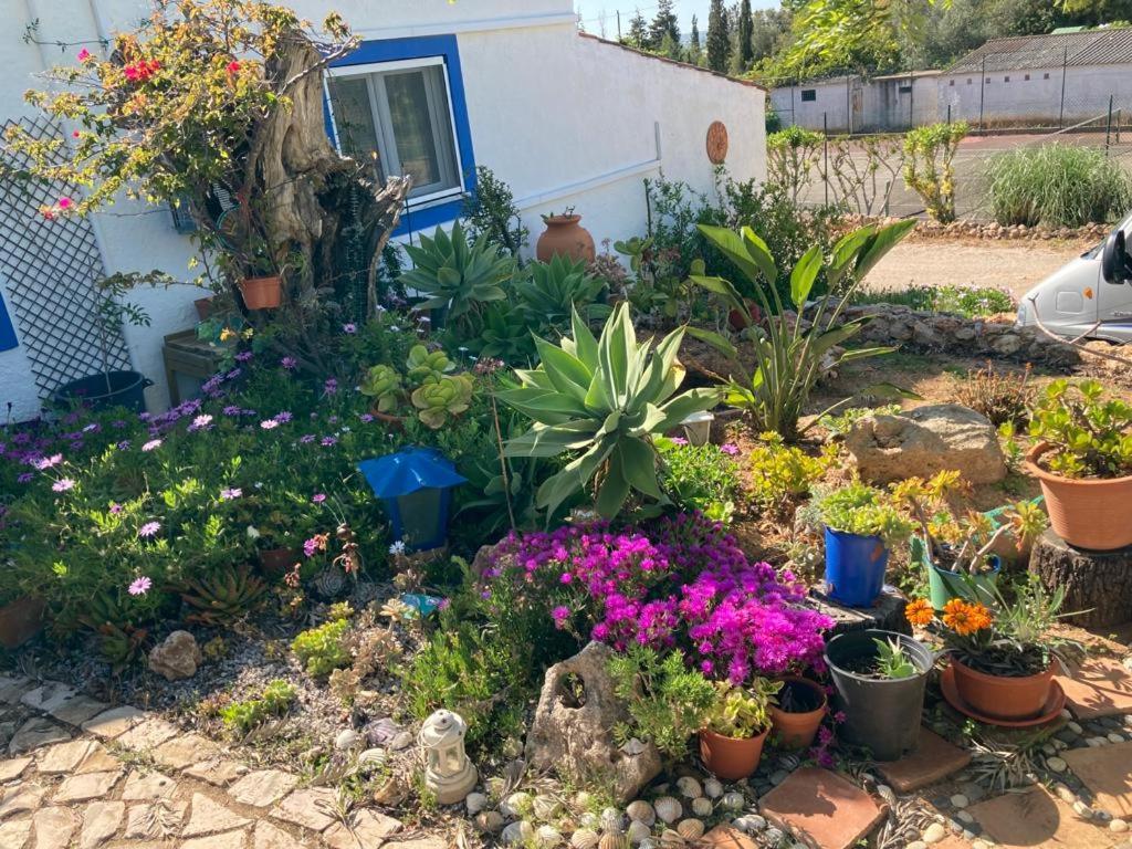 Vila Casa Joy Guia  Exteriér fotografie